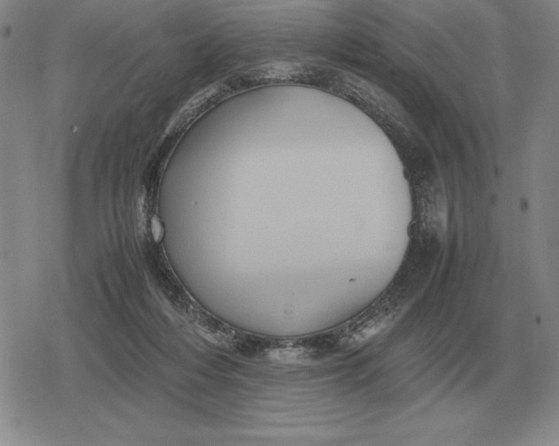 X0000079280216200612081801