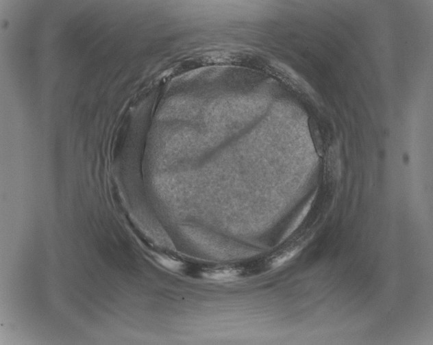 X0000079280217200612081801