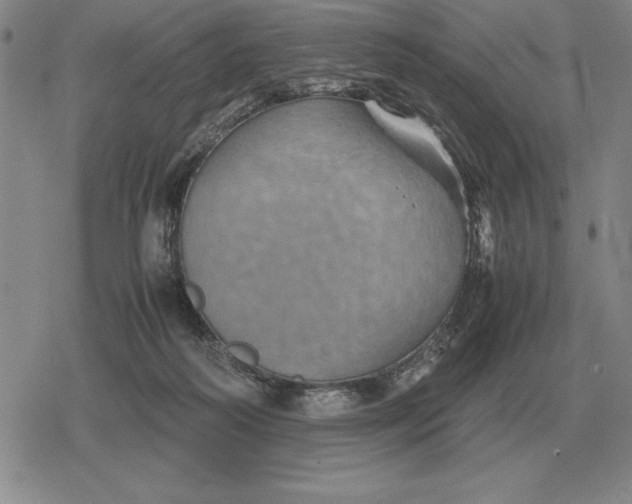 X0000079280218200612081801