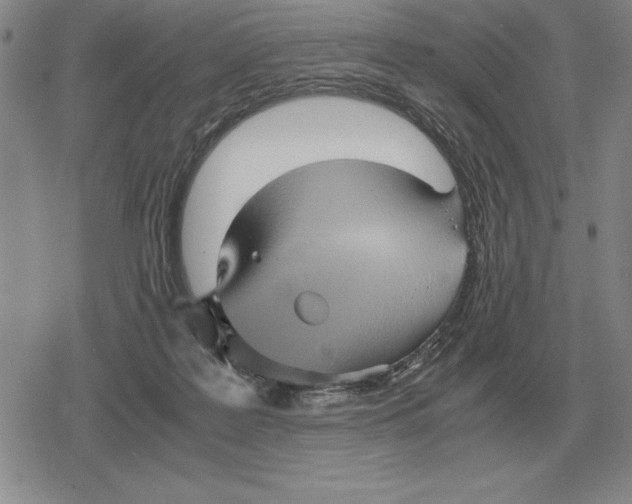 X0000079280219200612081801