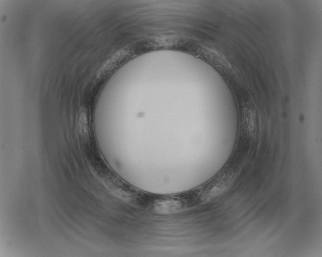 X0000079280220200612081801