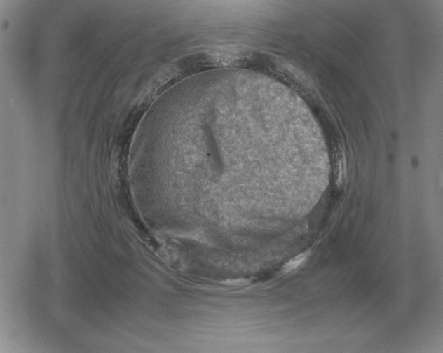 X0000079280221200612081801