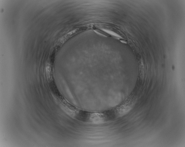 X0000079280222200612081801