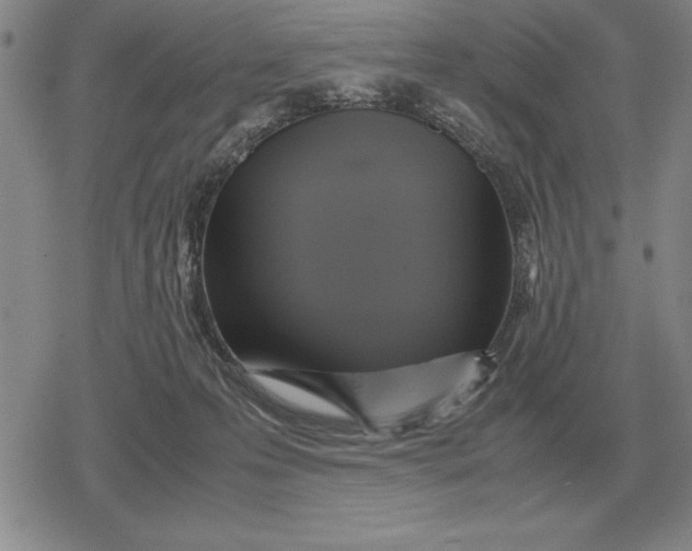 X0000079280223200612081801