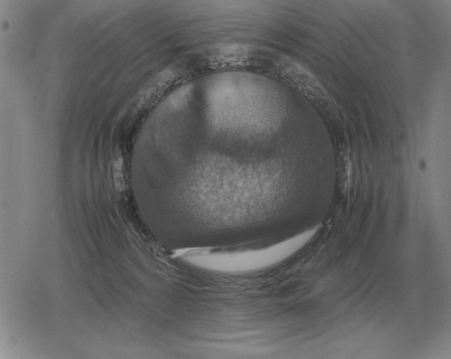 X0000079280224200612081801