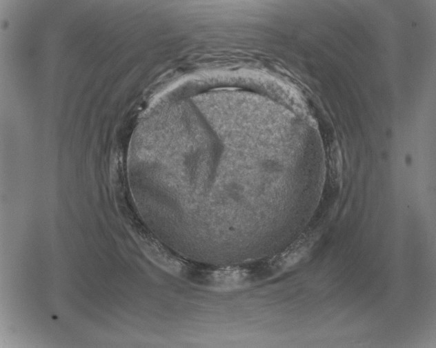 X0000079280225200612081801