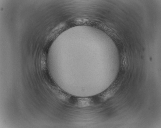 X0000079280226200612081801