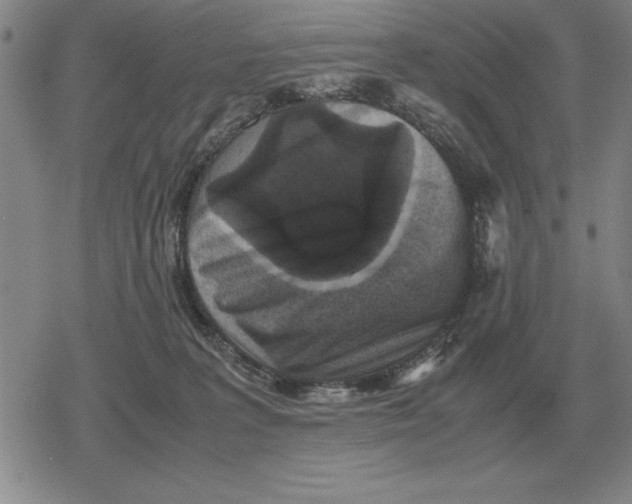 X0000079280227200612081801