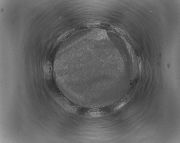 X0000079280228200612081801