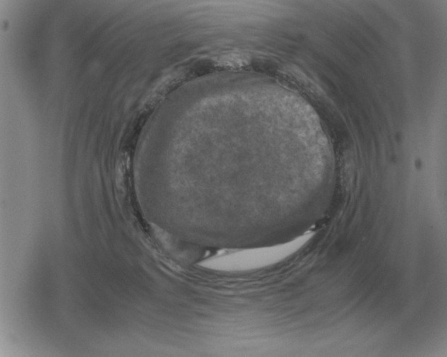 X0000079280229200612081801