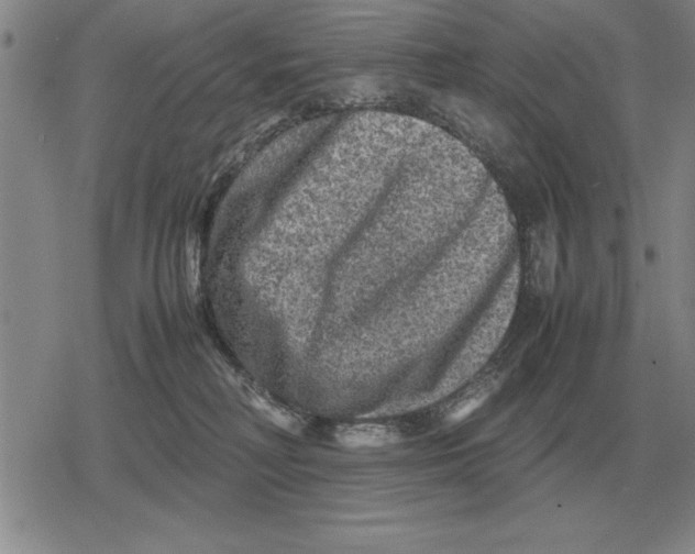 X0000079280230200612081801