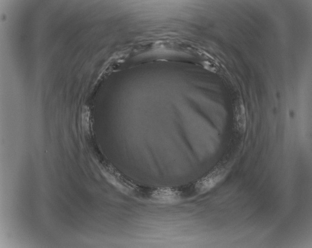 X0000079280231200612081801