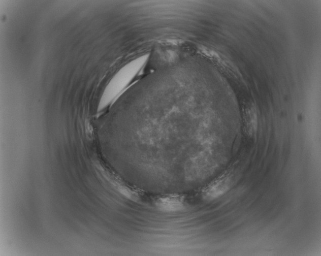 X0000079280232200612081801