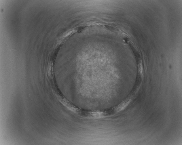 X0000079280233200612081801