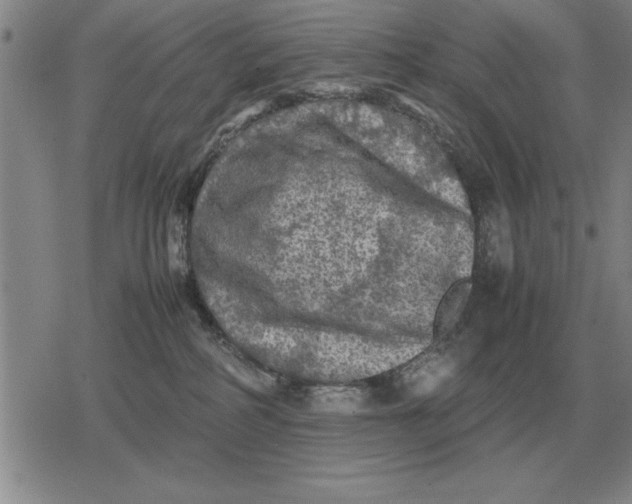 X0000079280234200612081801