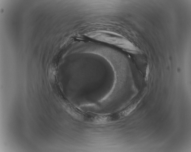 X0000079280235200612081801