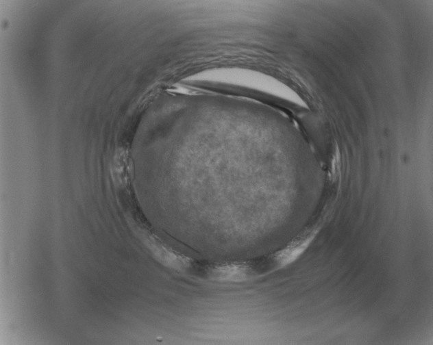 X0000079280237200612081801