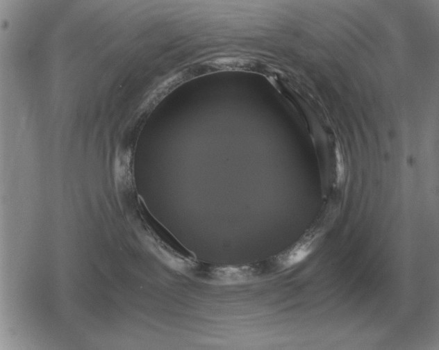 X0000079280239200612081801