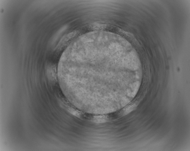 X0000079280240200612081801