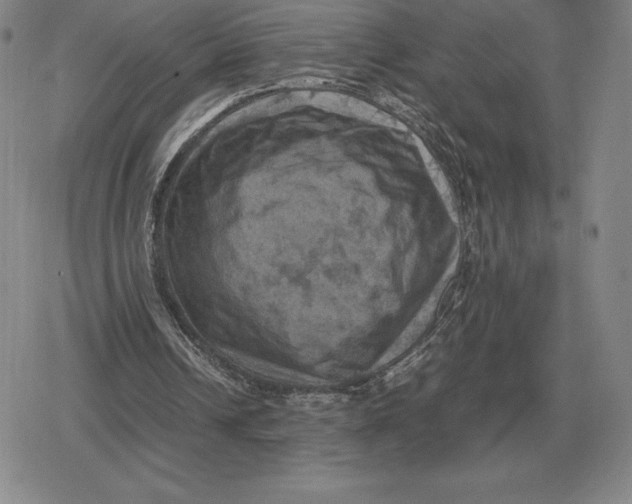 X0000079280242200612081800