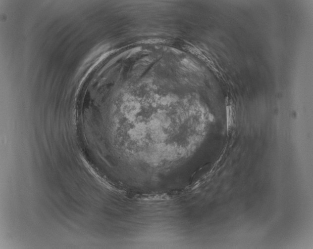 X0000079280243200612081800