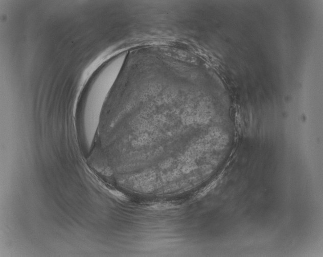 X0000079280246200612081800