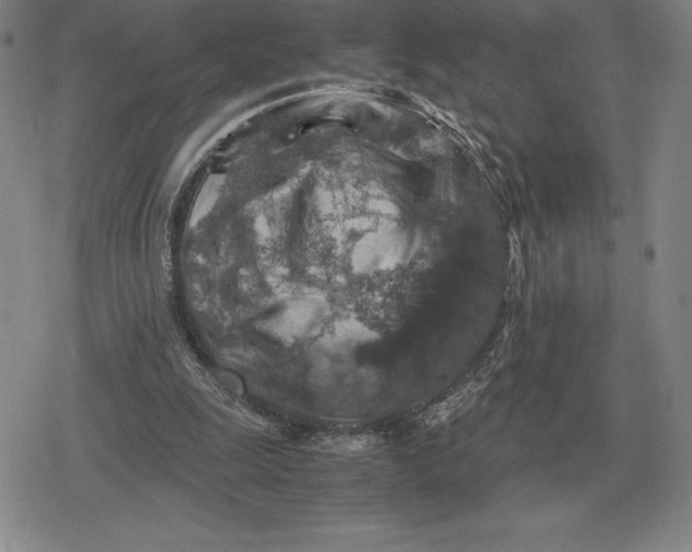 X0000079280247200612081800