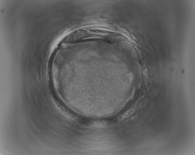 X0000079280248200612081800