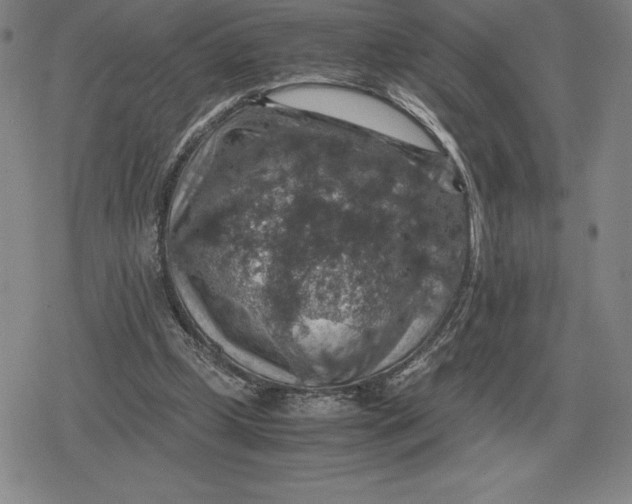 X0000079280249200612081800