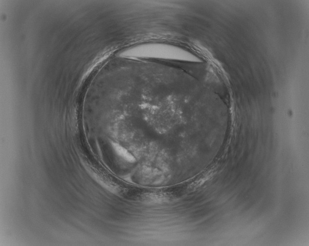 X0000079280250200612081800