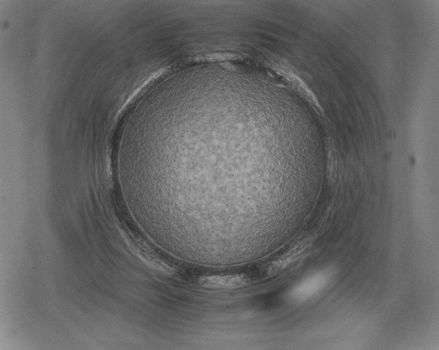 X0000079280251200612081800