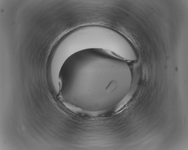 X0000079280252200612081800