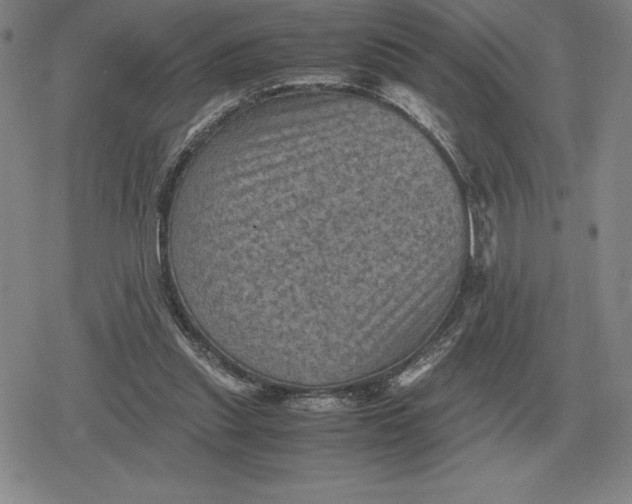 X0000079280253200612081800