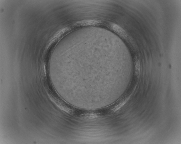 X0000079280254200612081800