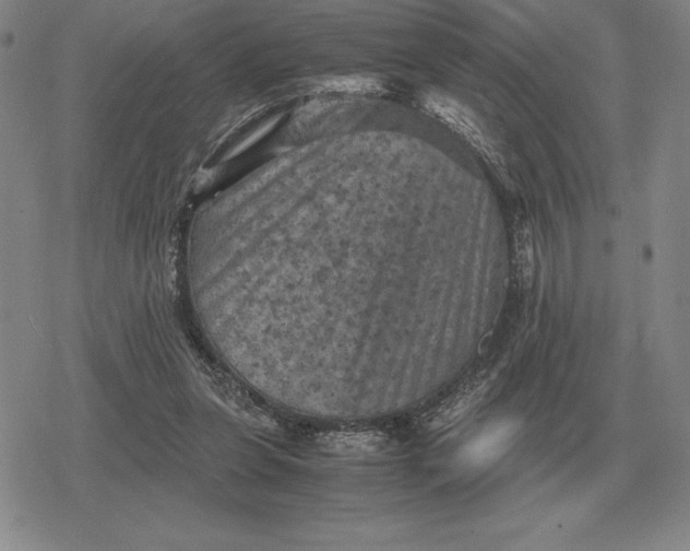 X0000079280255200612081800