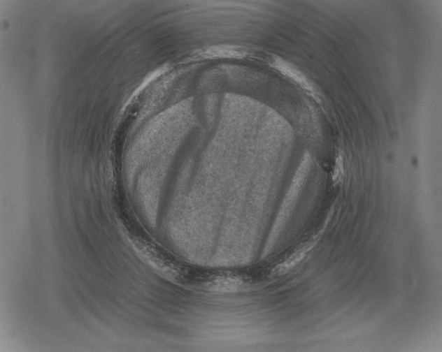 X0000079280256200612081800