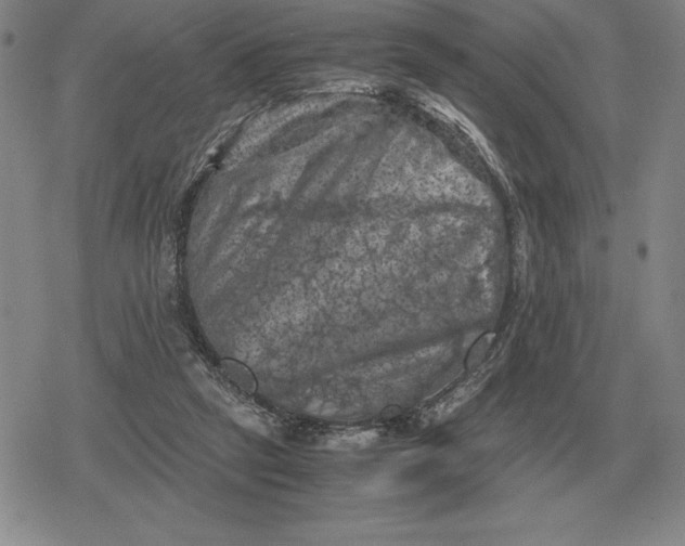 X0000079280257200612081800