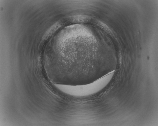 X0000079280258200612081800