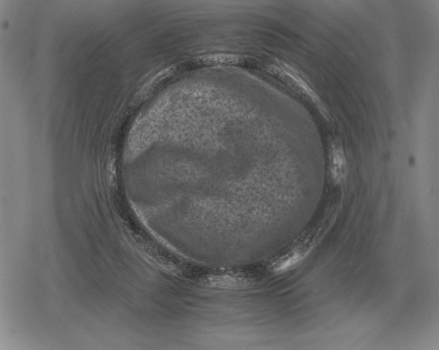 X0000079280259200612081800