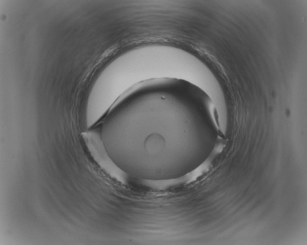 X0000079280260200612081800