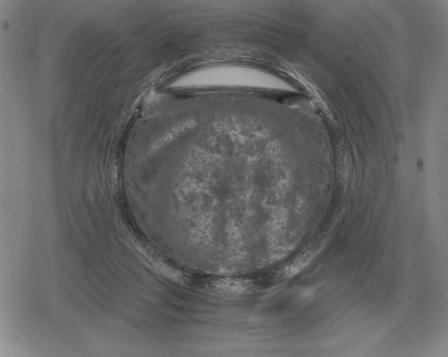 X0000079280261200612081800