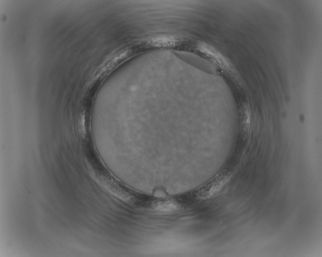 X0000079280262200612081800