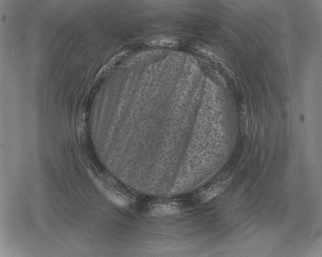 X0000079280263200612081800