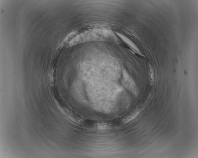 X0000079280264200612081800