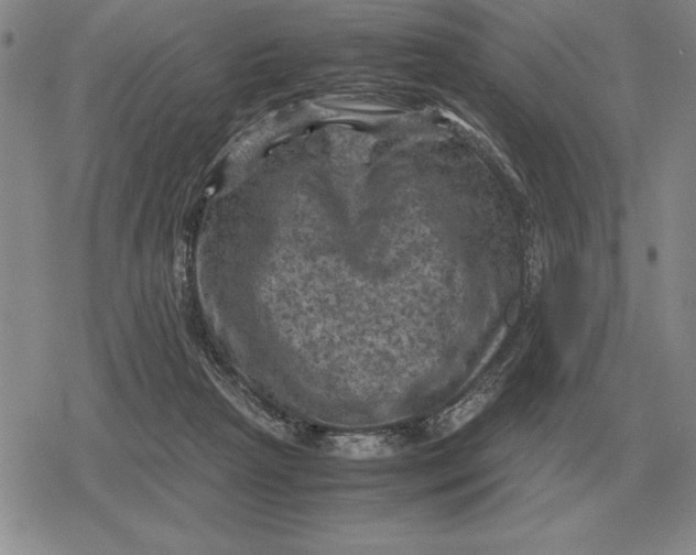 X0000079280265200612081800