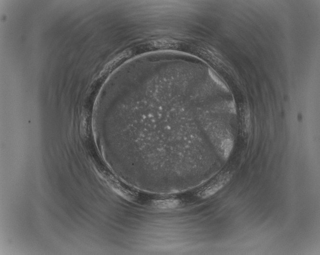 X0000079280266200612081800