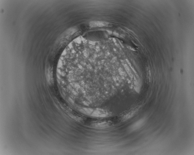 X0000079280267200612081800