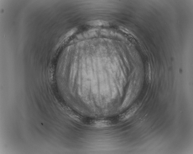 X0000079280268200612081800