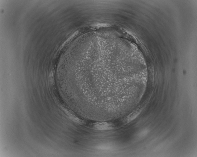 X0000079280269200612081800