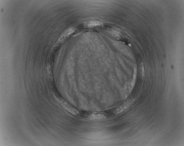 X0000079280270200612081800